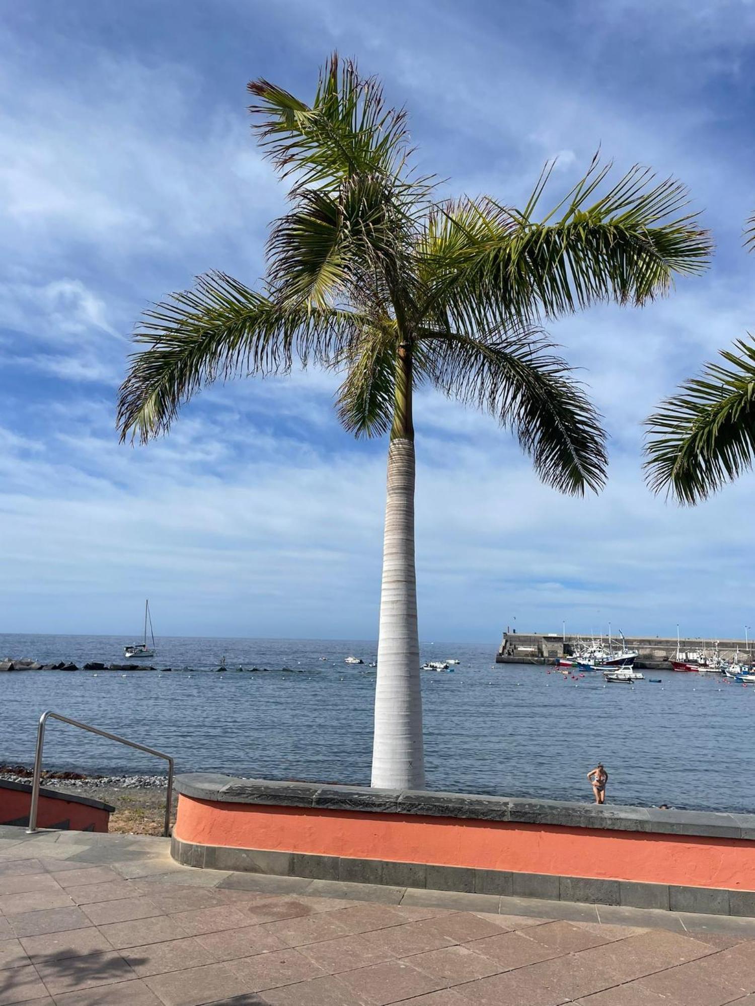 Seaside Paradise - 2 Bedroom Apartment With Ocean Views & Air Conditioning In Playa San Juan Eksteriør billede