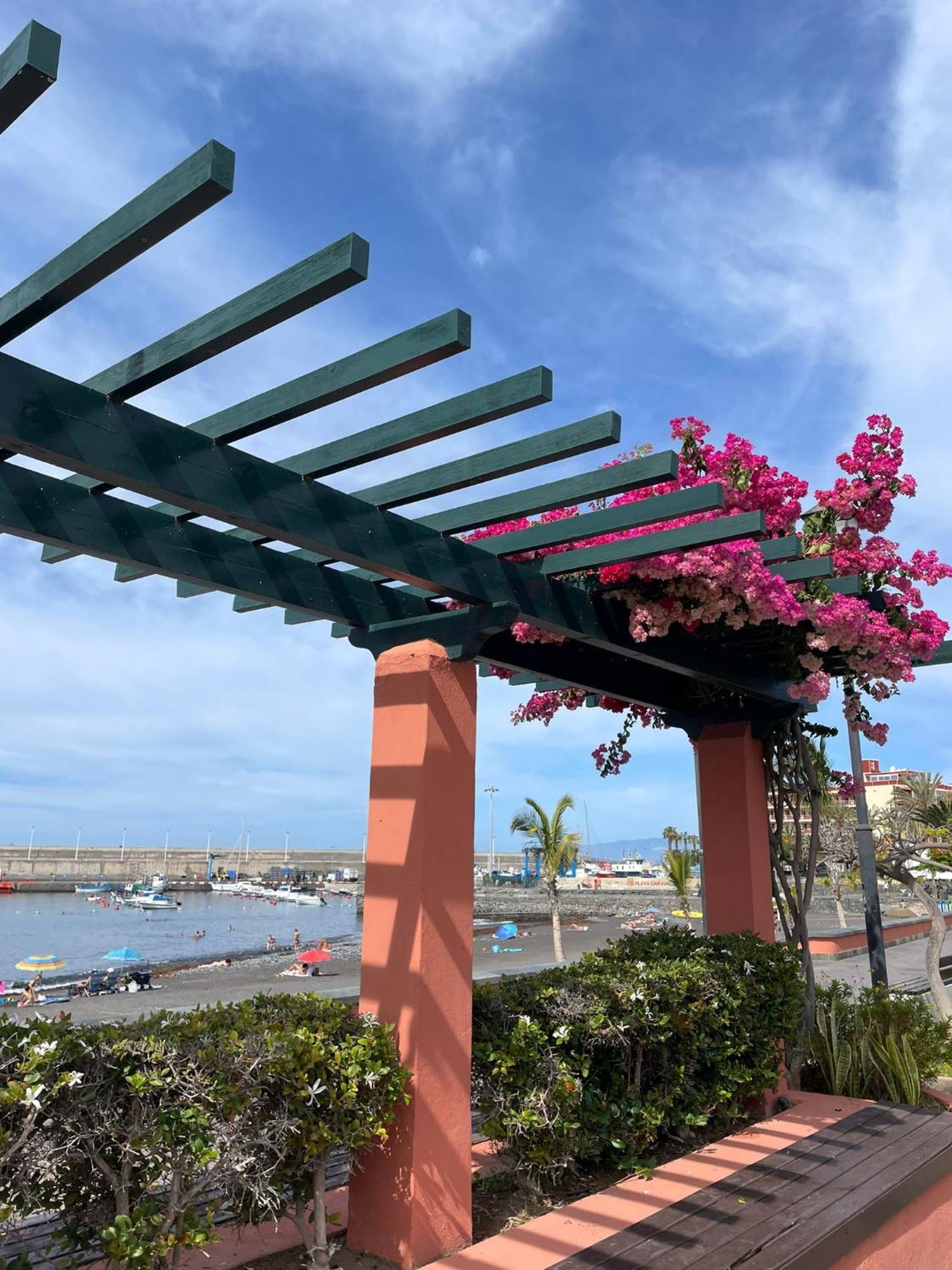 Seaside Paradise - 2 Bedroom Apartment With Ocean Views & Air Conditioning In Playa San Juan Eksteriør billede